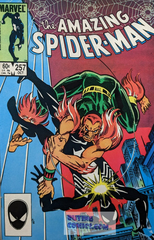 Amazing Spider-Man #257 Comic Book Cover Art