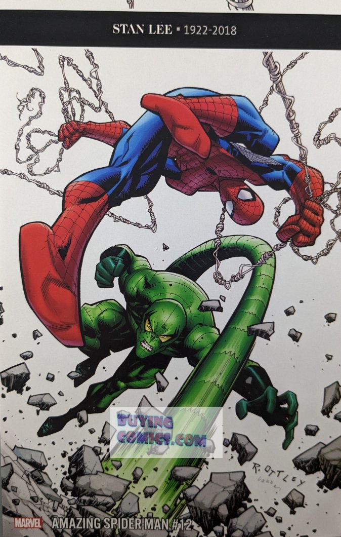 Amazing Spider-Man #12 Comic Book Cover Art