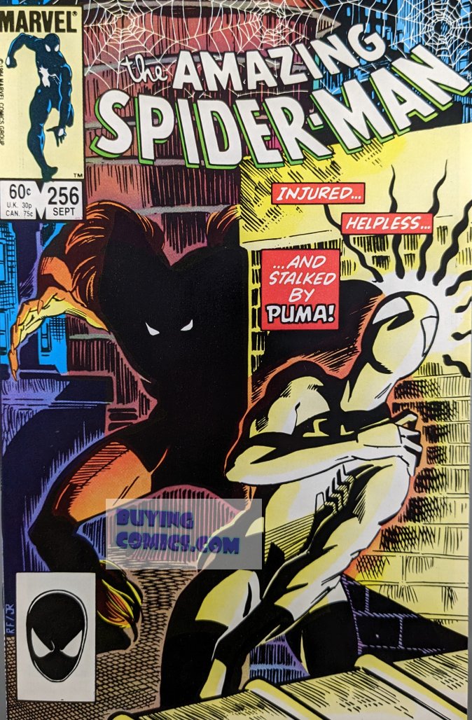 Amazing Spider-Man #256 Comic Book Cover Art