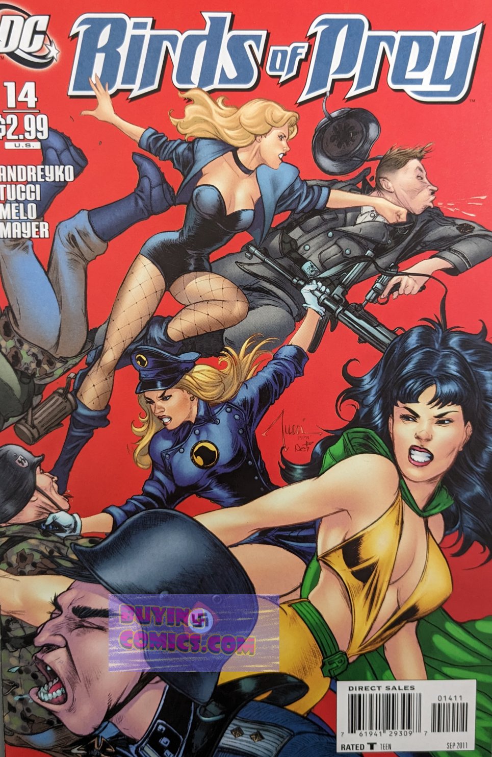 Birds Of Prey #14 Comic Book Cover Art