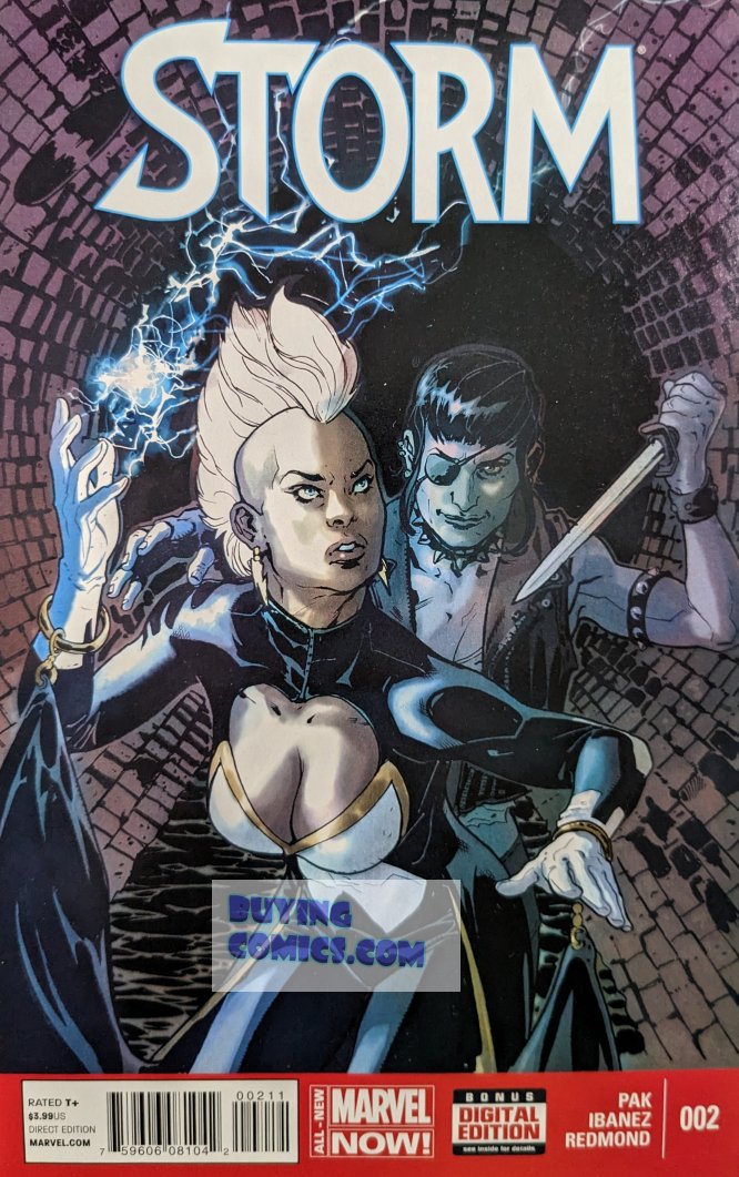 Storm #2 Comic Book Cover Art