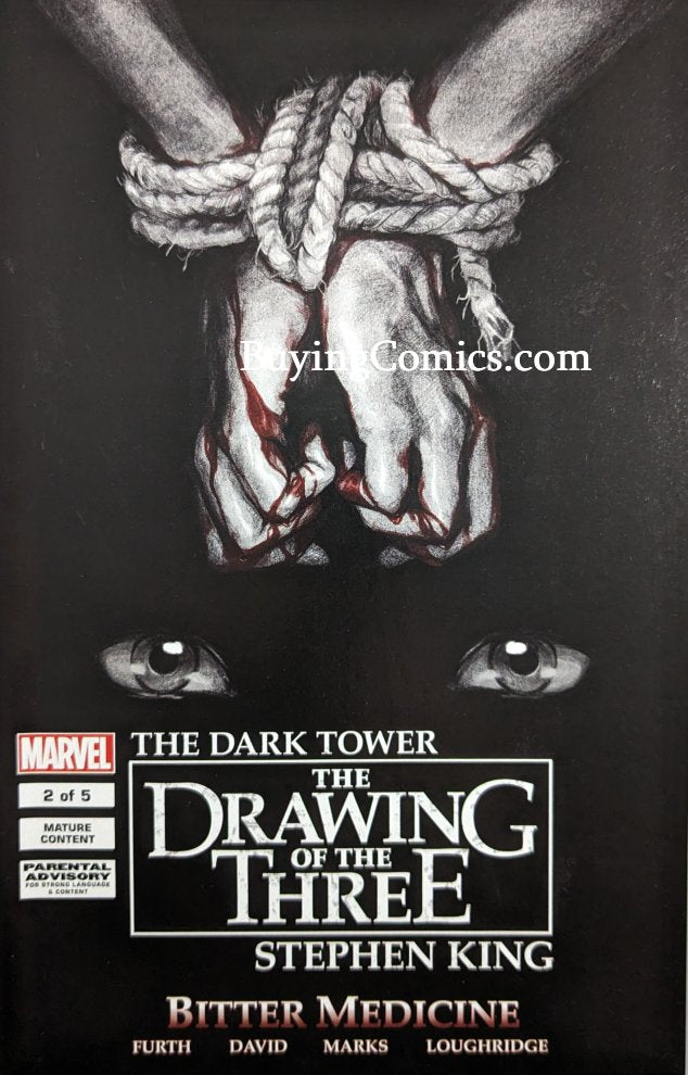 Dark Tower Bitter Medicine #2 Comic Book Cover