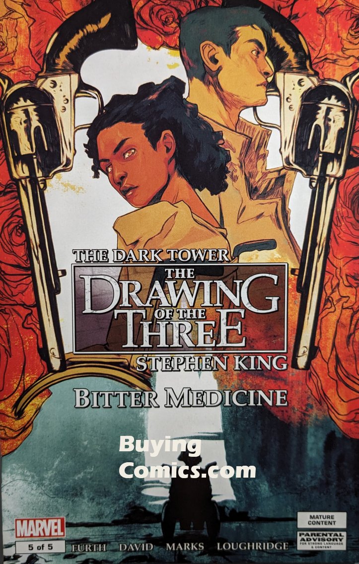 Dark Tower - Bitter Medicine #5 Comic Book Cover Art