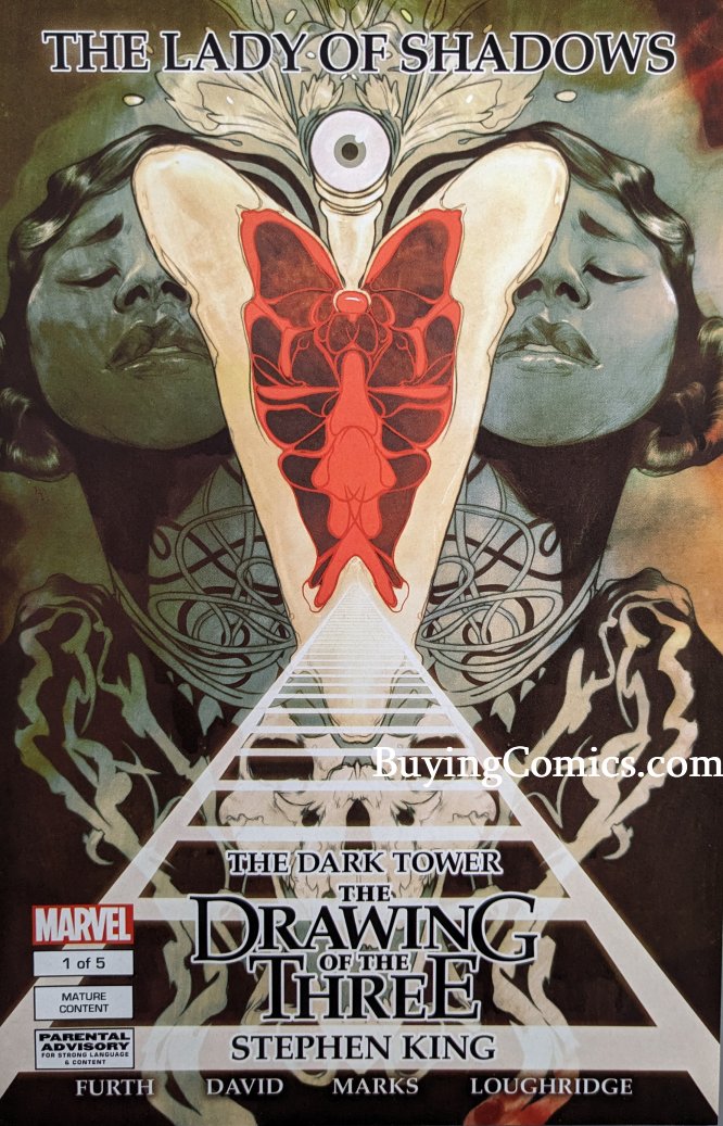 Dark Tower Lady Of Shadows #1 Comic Book Cover