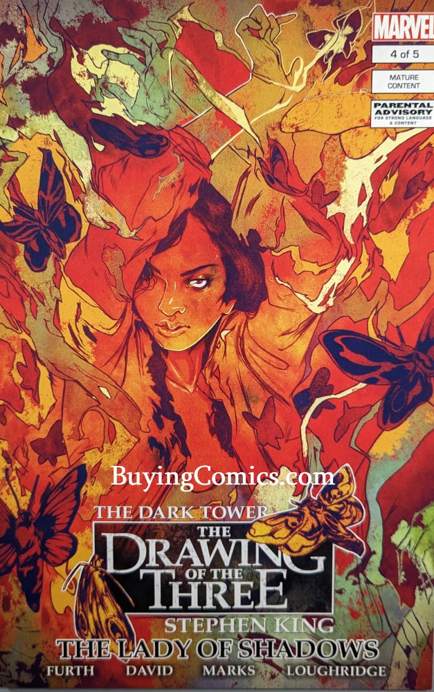 Dark Tower Lady Of Shadows #4 Comic Book Cover