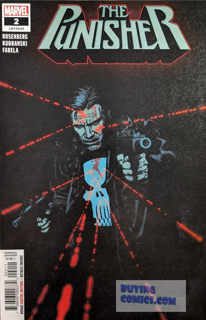 Punisher #2 Comic Book Cover Art