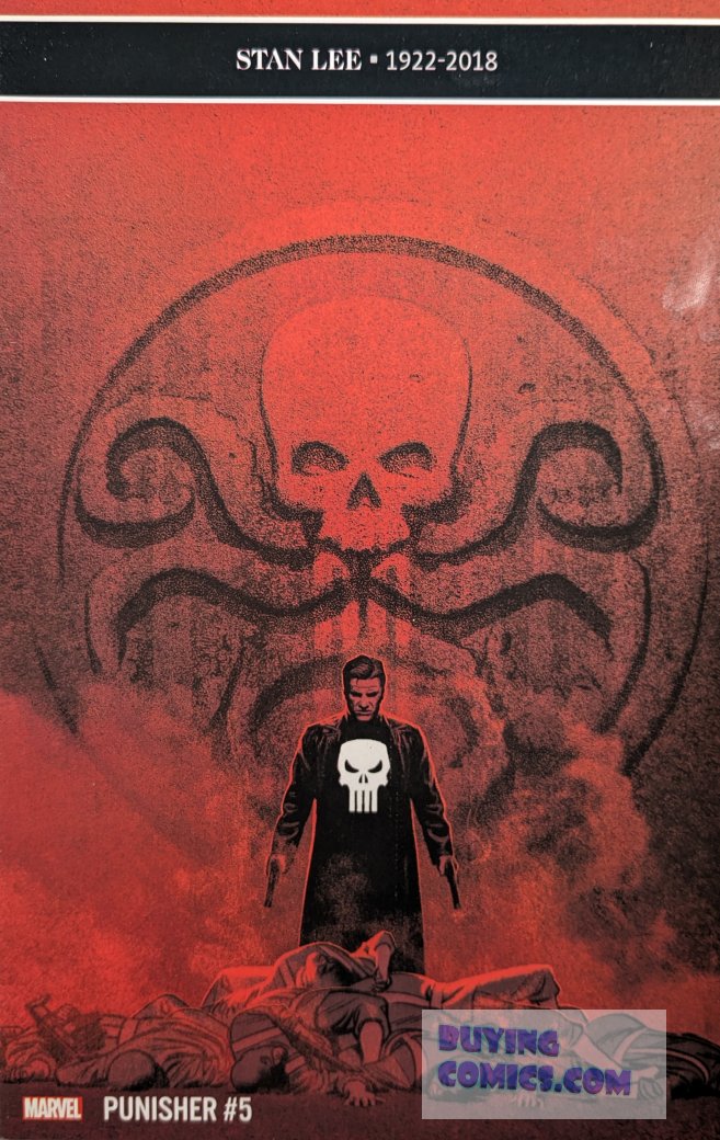 Punisher #5 Comic Book Cover Art