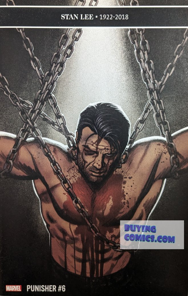 Punisher #6 Comic Book Cover Art